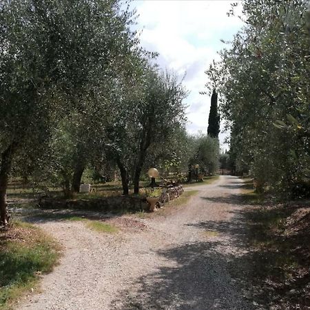 Nel Chianti Lungo La Francigena Διαμέρισμα Colle Val D'Elsa Εξωτερικό φωτογραφία