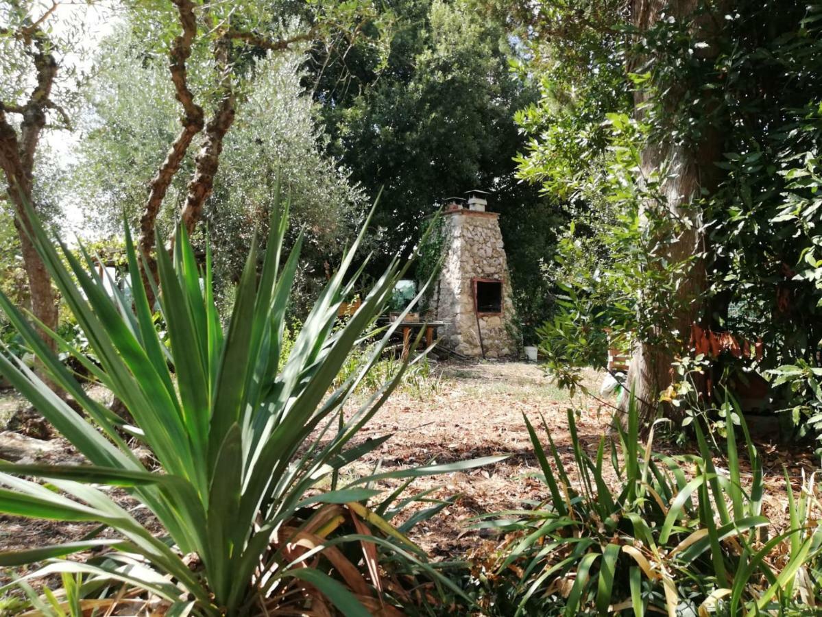 Nel Chianti Lungo La Francigena Διαμέρισμα Colle Val D'Elsa Εξωτερικό φωτογραφία