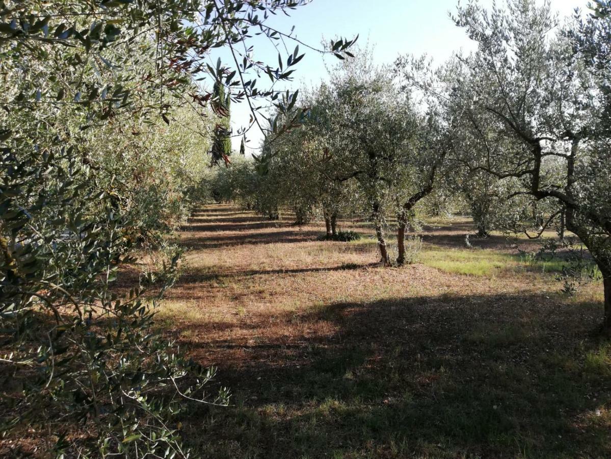 Nel Chianti Lungo La Francigena Διαμέρισμα Colle Val D'Elsa Εξωτερικό φωτογραφία