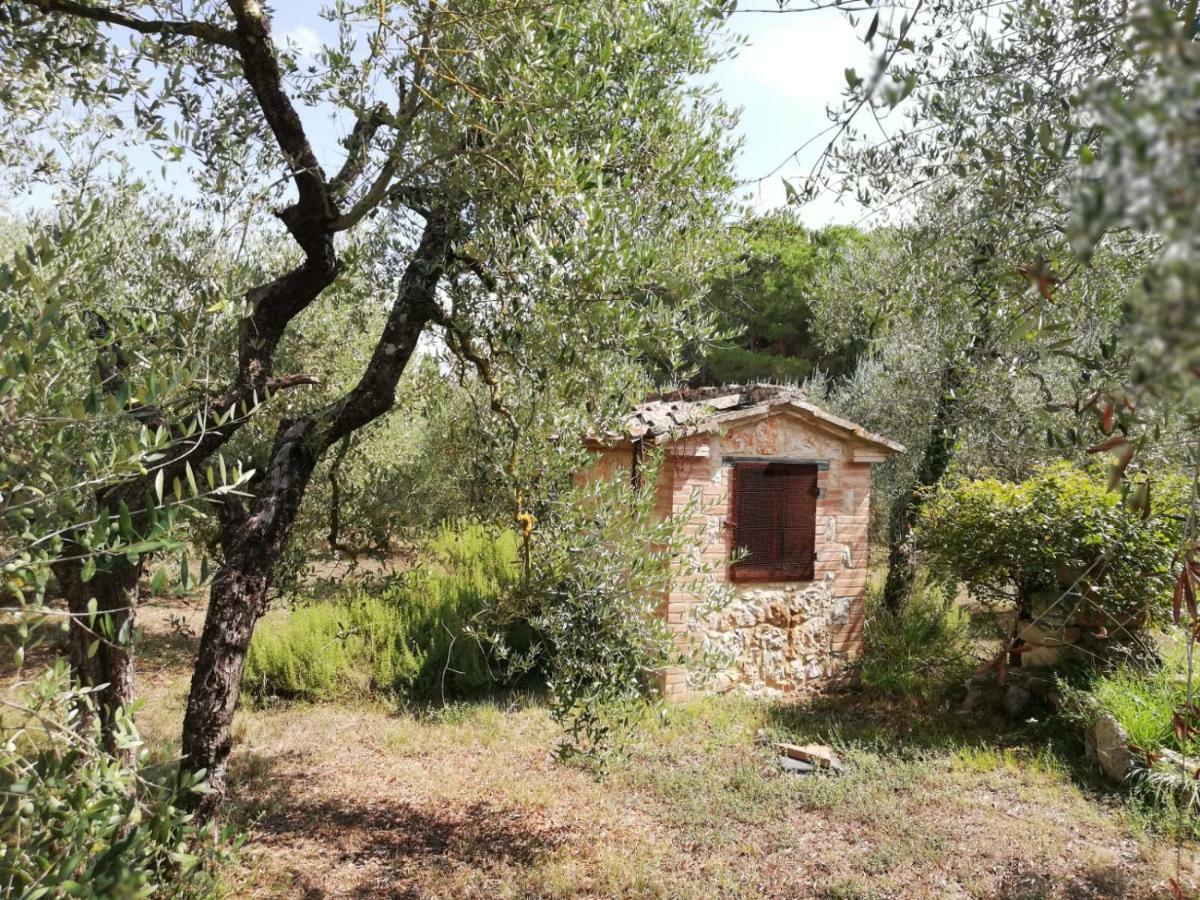 Nel Chianti Lungo La Francigena Διαμέρισμα Colle Val D'Elsa Εξωτερικό φωτογραφία