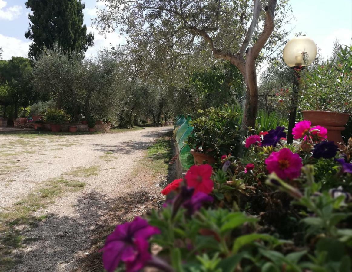 Nel Chianti Lungo La Francigena Διαμέρισμα Colle Val D'Elsa Εξωτερικό φωτογραφία