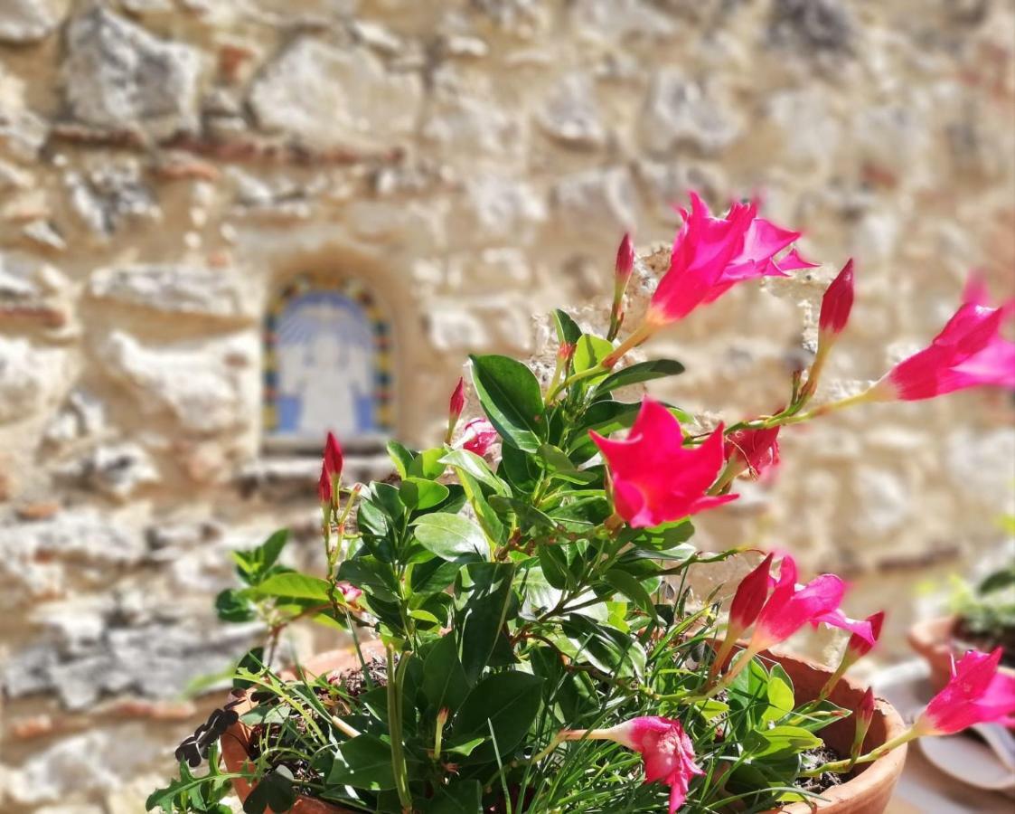 Nel Chianti Lungo La Francigena Διαμέρισμα Colle Val D'Elsa Εξωτερικό φωτογραφία
