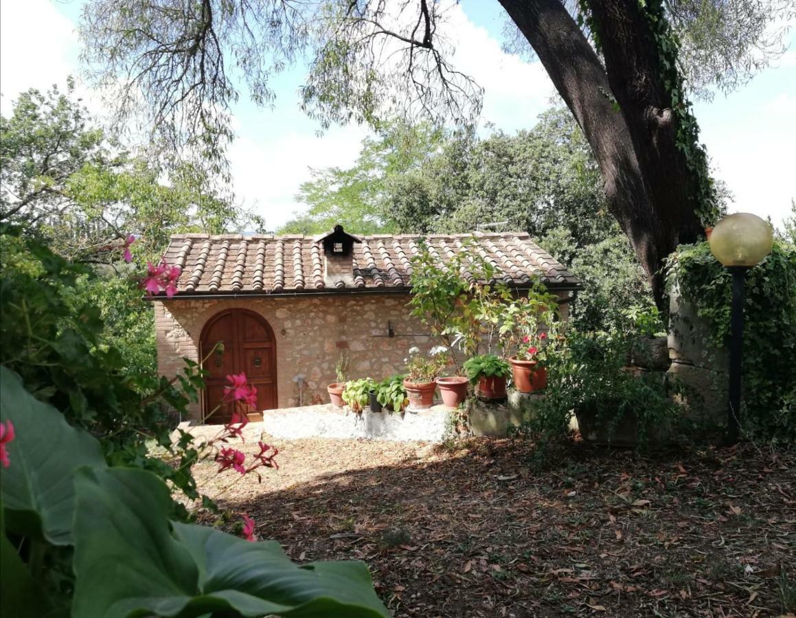 Nel Chianti Lungo La Francigena Διαμέρισμα Colle Val D'Elsa Εξωτερικό φωτογραφία