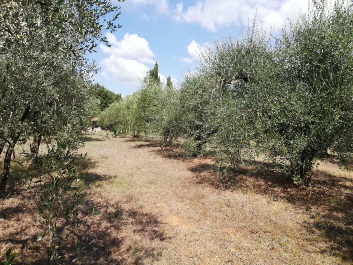 Nel Chianti Lungo La Francigena Διαμέρισμα Colle Val D'Elsa Εξωτερικό φωτογραφία