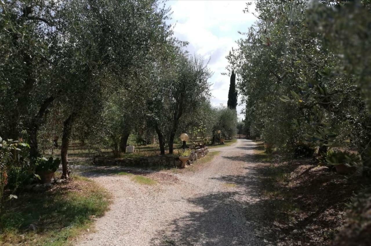 Nel Chianti Lungo La Francigena Διαμέρισμα Colle Val D'Elsa Εξωτερικό φωτογραφία